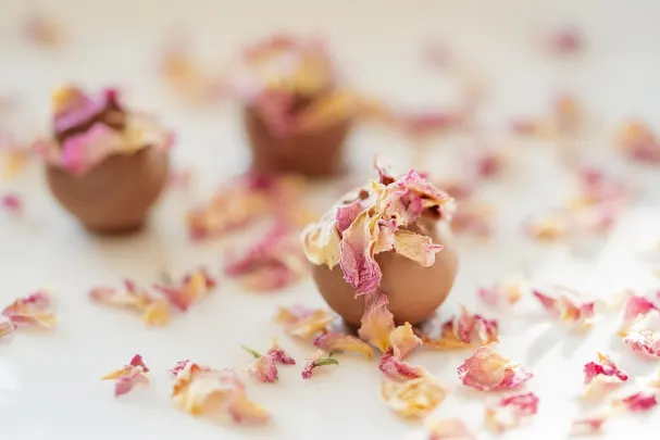 Καζίνο Παραντάις Γουιν Εφαρμογή Android/iOS